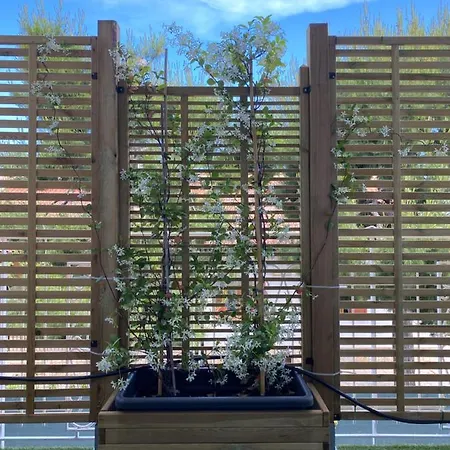 Дом отдыха Dimore Capirro Charming Family House