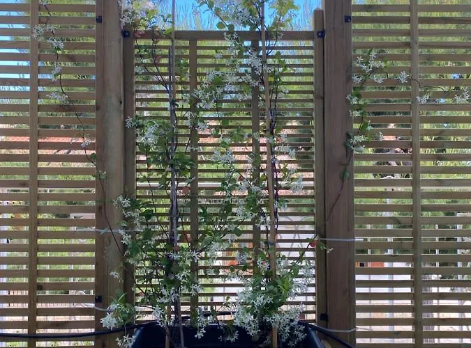 בית נופש Dimore Capirro Charming Family House